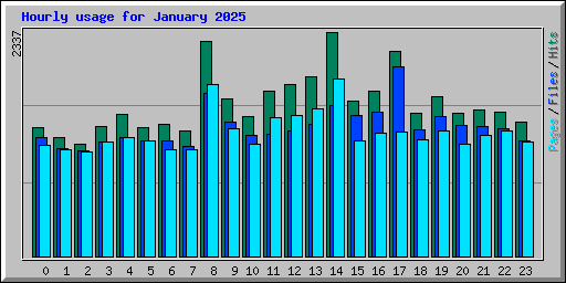 Hourly usage for January 2025