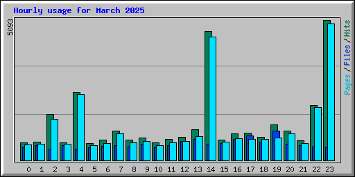 Hourly usage for March 2025