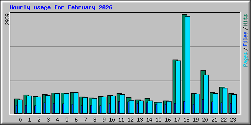 Hourly usage for February 2026