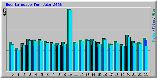 Hourly usage for July 2026