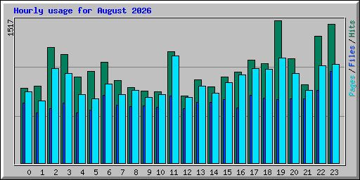 Hourly usage for August 2026
